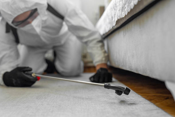 Professional Ant Control technician working in Laughlin AFB, TX