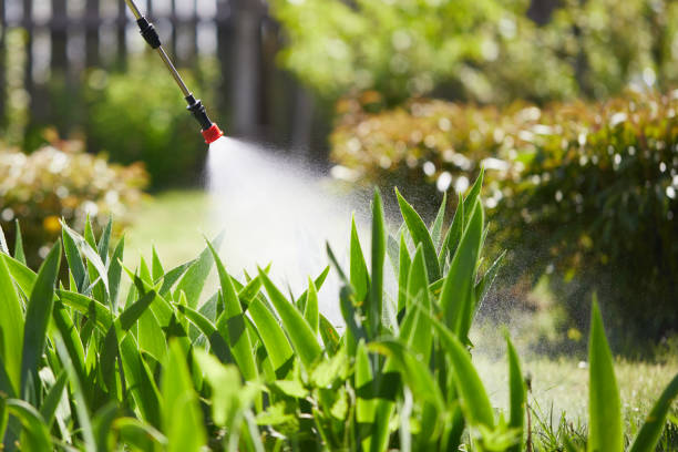 24/7 Emergency Ant Control experts in Laughlin AFB, TX