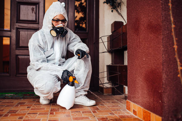 Reliable Ant Control contractor in Laughlin AFB, TX by Show Me Pest Control