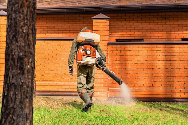 Top rated local Ant Control specialists in Laughlin AFB, TX